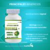 MORINGA CON CLOROFILA Y ALBAHACA (120 CÁPSULAS DE 500 MG) - Image 5