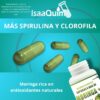 MORINGA CON CLOROFILA Y ALBAHACA (120 CÁPSULAS DE 500 MG) - Image 3